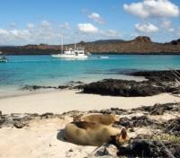 Yatch Excursion